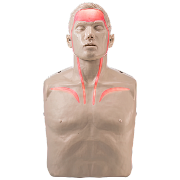 CPR Manikins