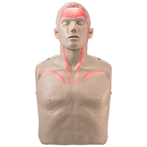 CPR Manikins