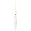 BD Insyte IV Cannula with BD Vialon Biomaterial 24G x