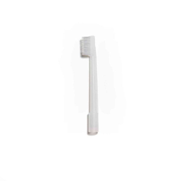 Avanos Ballard Oral Care Suction Toothbrush - Box of 25 (12602)