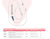 MDevices Transfusion Pump Set All Sizes