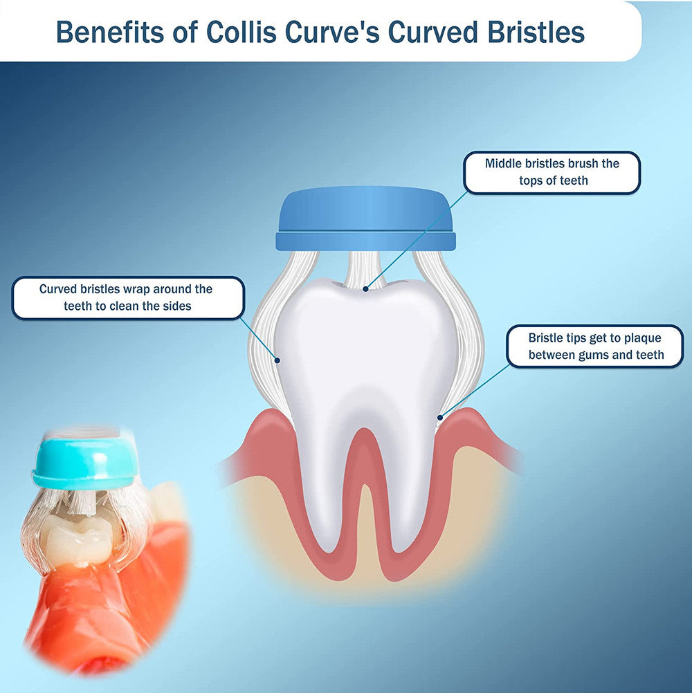 Collis Curve Toothbrush Adult/ Youth/ baby Single Pack