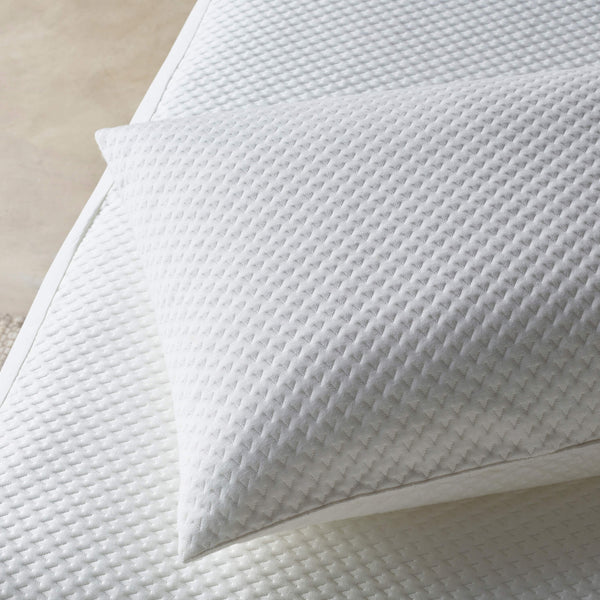 Staydry DuraDeluxe Waterproof Pillow Protector, Each (STAYPC75ZPDD)