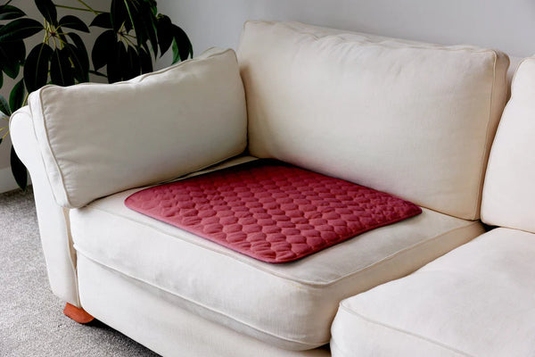 Buddies Chair Pad, Each (Regular / Large) - All Colors